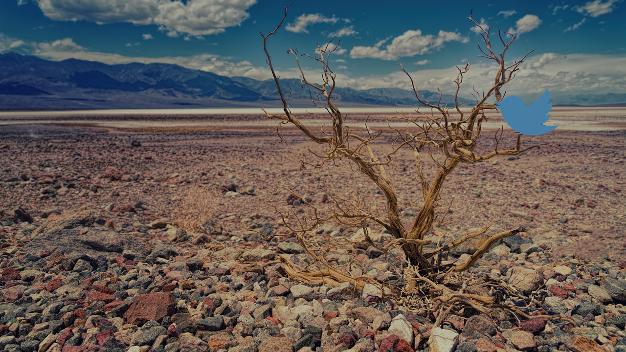 A desolate wasteland, with a twitter bird on a dead tree